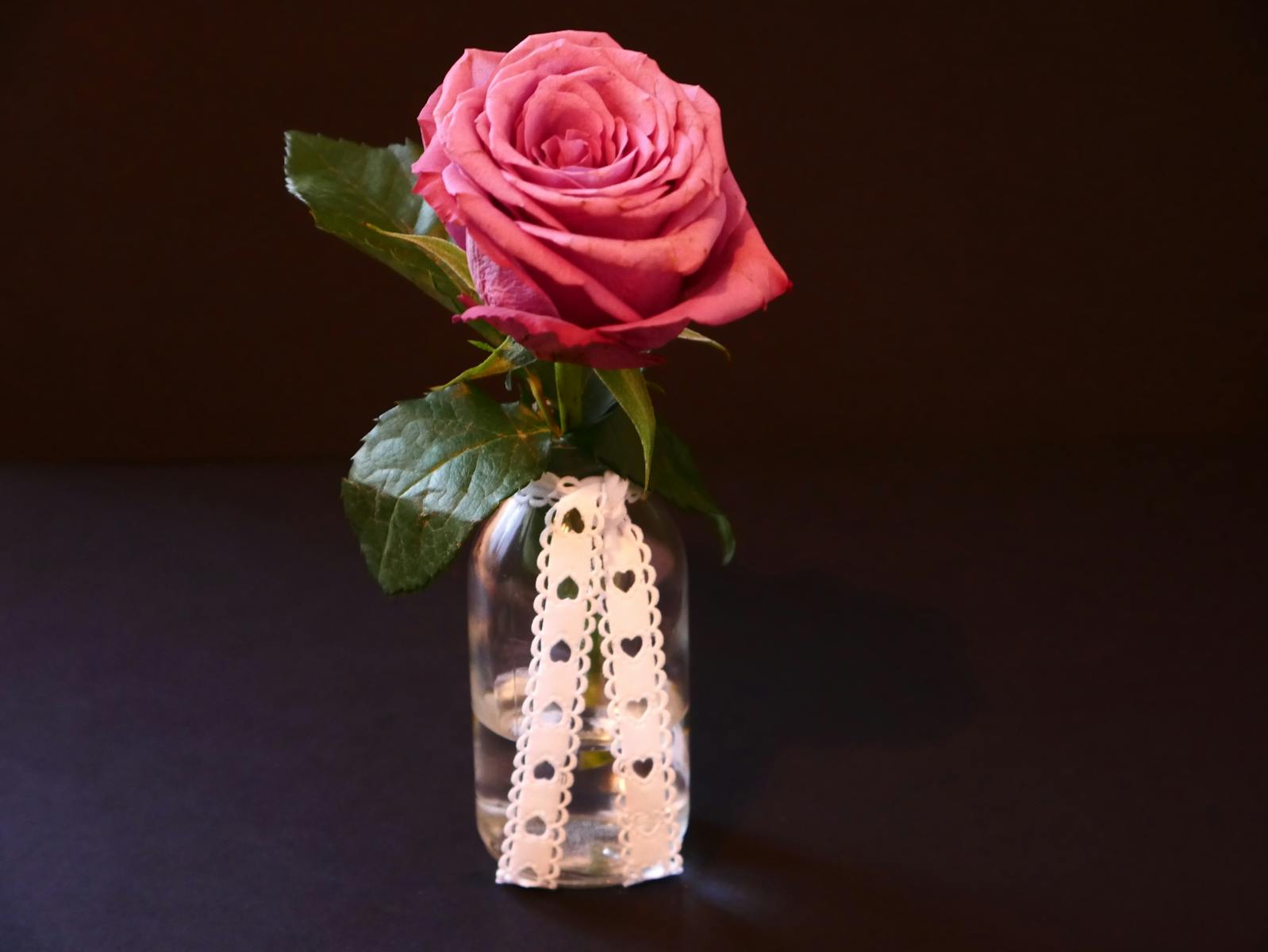 A beautiful pink rose in a stylish vase with lace ribbon against a dark backdrop.